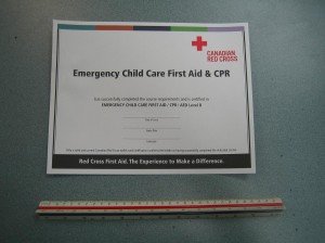 Red Cross Training Certificate (Wall Mount size)
